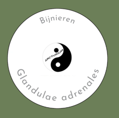 Bijnieren
